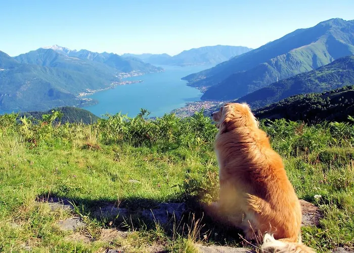 Le Baite Di Bodone-1 By Interhome Casa vacanze *