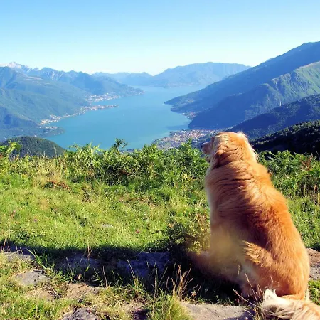 Le Baite Di Bodone-1 By Interhome بيت للعطل *